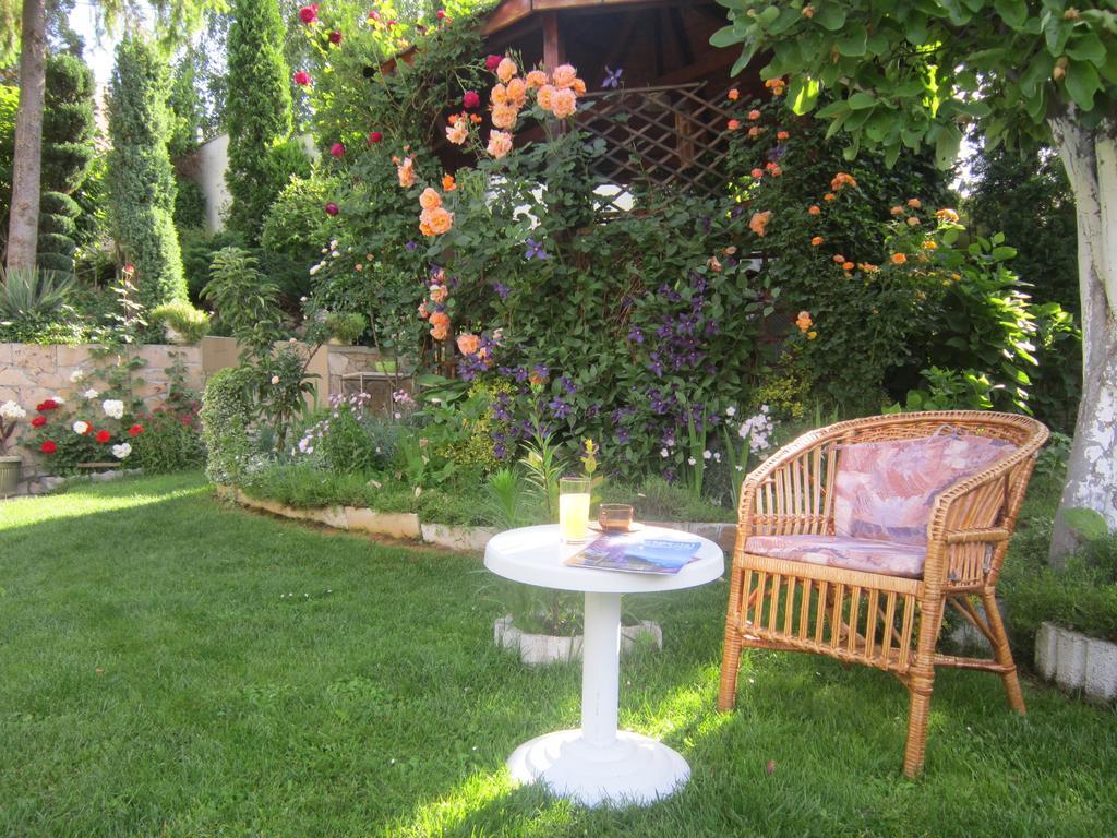 Guest House בנקיה מראה חיצוני תמונה