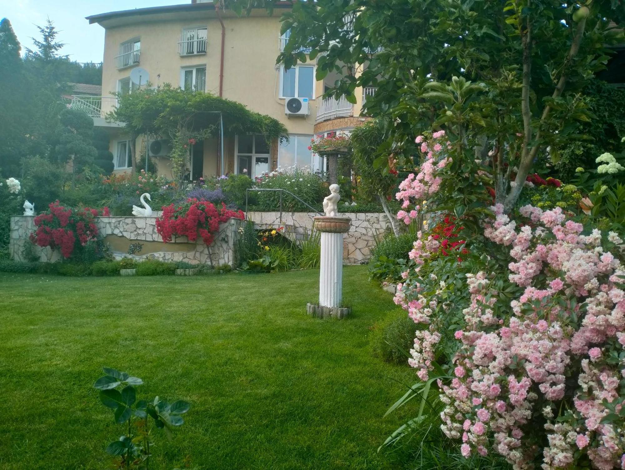 Guest House בנקיה מראה חיצוני תמונה