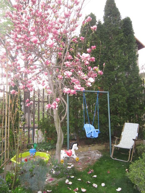 Guest House בנקיה מראה חיצוני תמונה